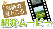 Ļ���θ��ɤ������Ҳ�ࡼ�ӡ�