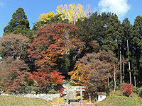 大山祇神社