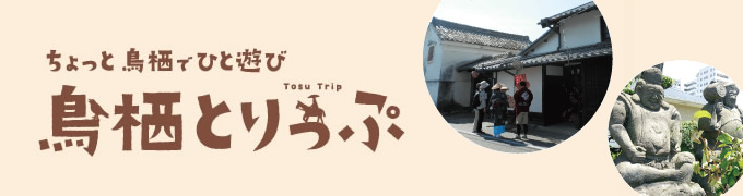 観光コース